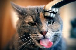 开云APP-铁血与闪电，楚阿梅尼的坚韧与拜仁的速击