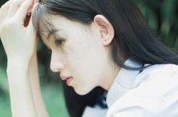 开云体育登录-绿茵激战与篮坛风云，意甲焦点对决与森林狼终结奇才的胜利之夜