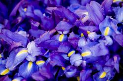 开云体育下载-慈善赛惊变，孙兴慜租借威尔士，神奇20分钟导演逆转尤文