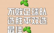 开云体育APP下载-球队的团队合作精神让他们在比赛中取得了连胜的简单介绍