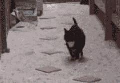 开云体育在线-2026世界杯之夜，库尔图瓦一手掌控比赛走势的传奇史诗