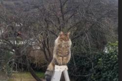 开云平台-广东队战术压弯辽宁队，布克F1街道赛超车夺冠