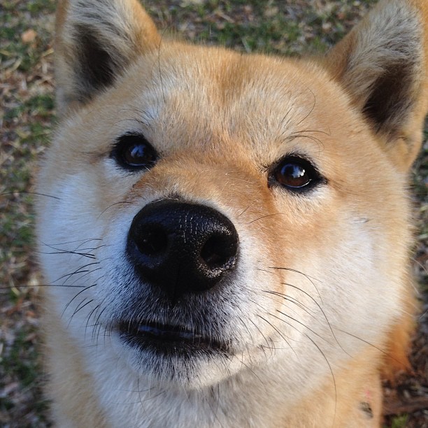 篮球世界的两幅狂想画卷,当文班亚马的天遇上广东队的地