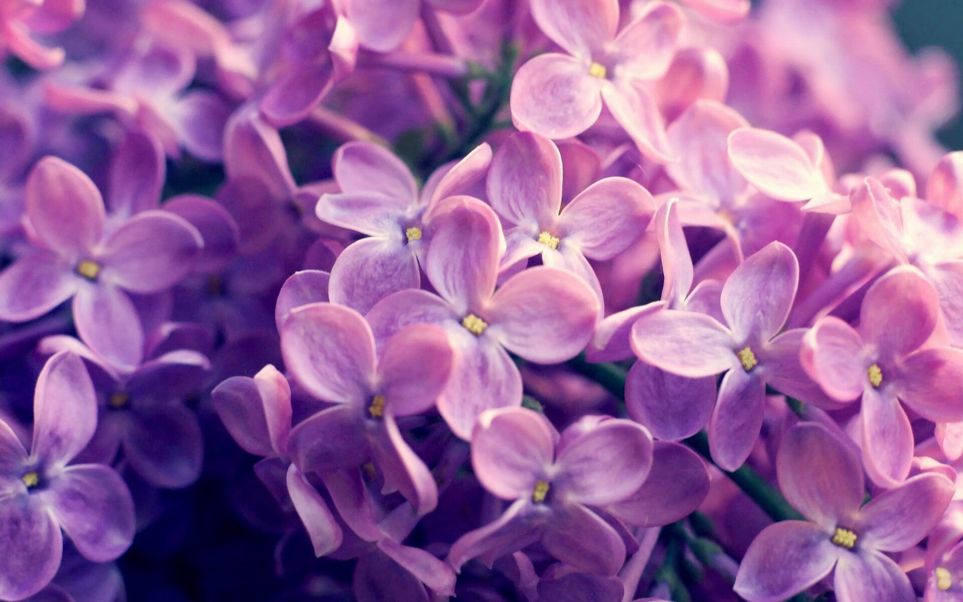 伊萨克闪耀全场,厄瓜多尔完胜雷恩,一场战术与天赋的完美盛宴