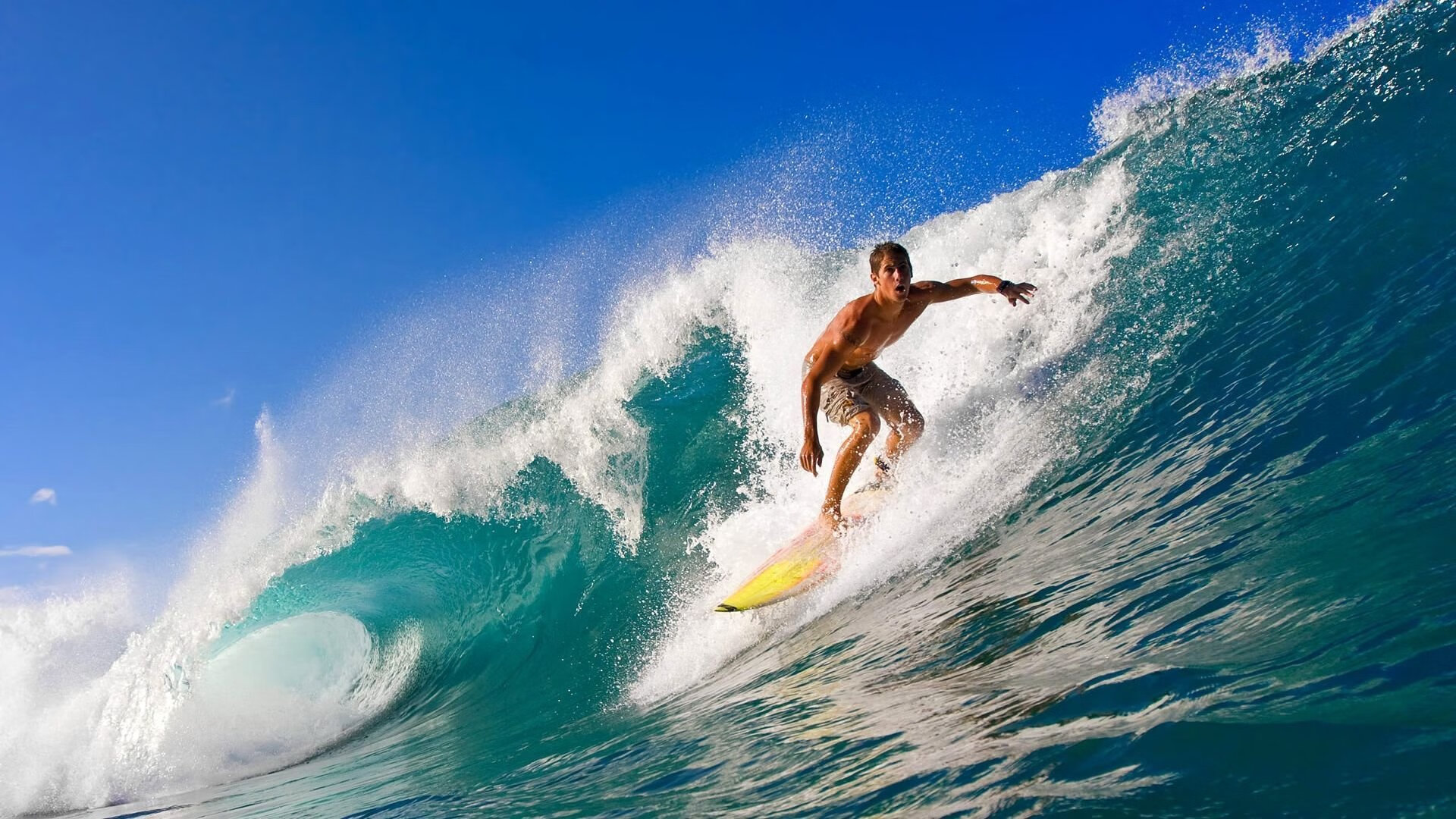 东方铁壁,西方利刃,当浙江队的窒息防守遇见欧冠赛场上的克莱时刻