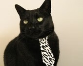 狼啸欧冠,金玟哉铸就钢铁防线,奥地利力量冲垮莱比锡红牛神话