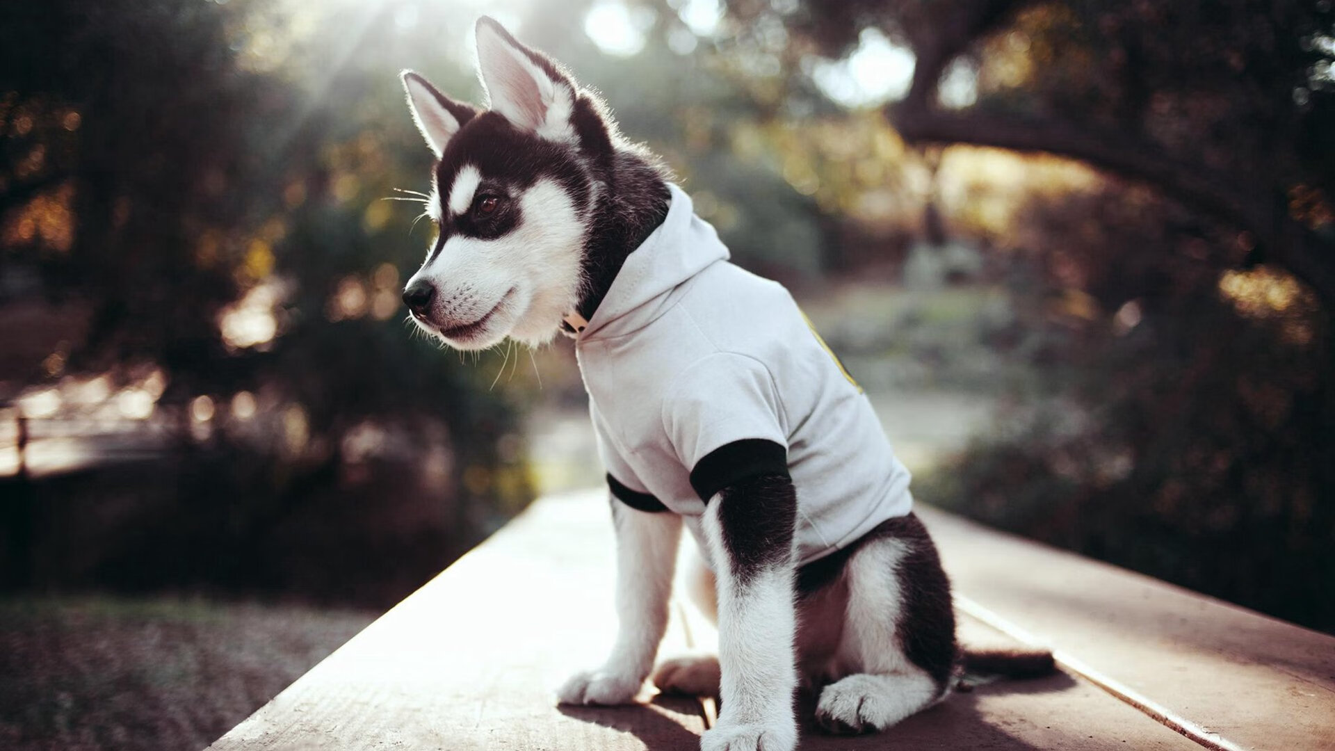 足球焦点战的双重奏，西甲国家德比的激情与乌拉圭踏平里昂的震撼